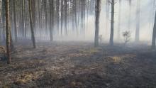 Zagrożenie pożarowe lasu