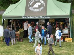 Jarmark Kociewski 2025