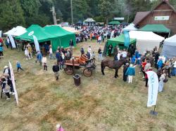 Jarmark Kociewski 2025