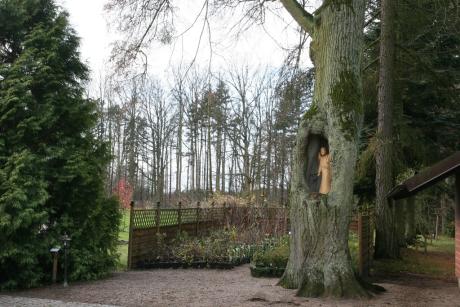 Galeria Nadleśnictwo Kaliska