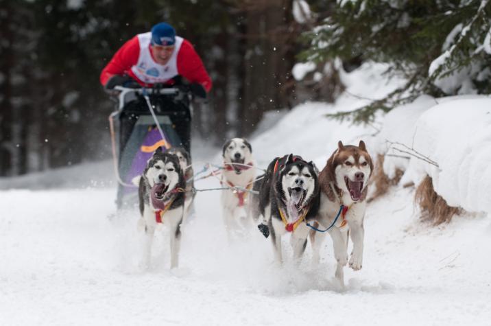 fot. Ventura/shutterstock.com